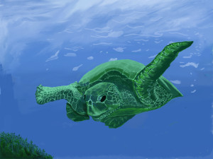 Honu